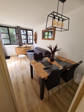 Appt Cosy au centre Chamonix
